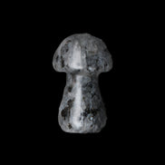 Larvikite mushroom 35*21*21mm 20g in sunlight - Rocks and Things Store