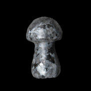 Larvikite mushroom 35*21*21mm 20g in sunlight - Rocks and Things Store