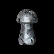 Larvikite mushroom 35*21*21mm 20g in sunlight - Rocks and Things Store