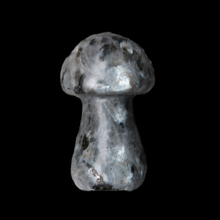 Larvikite mushroom 35*21*21mm 20g in sunlight - Rocks and Things Store