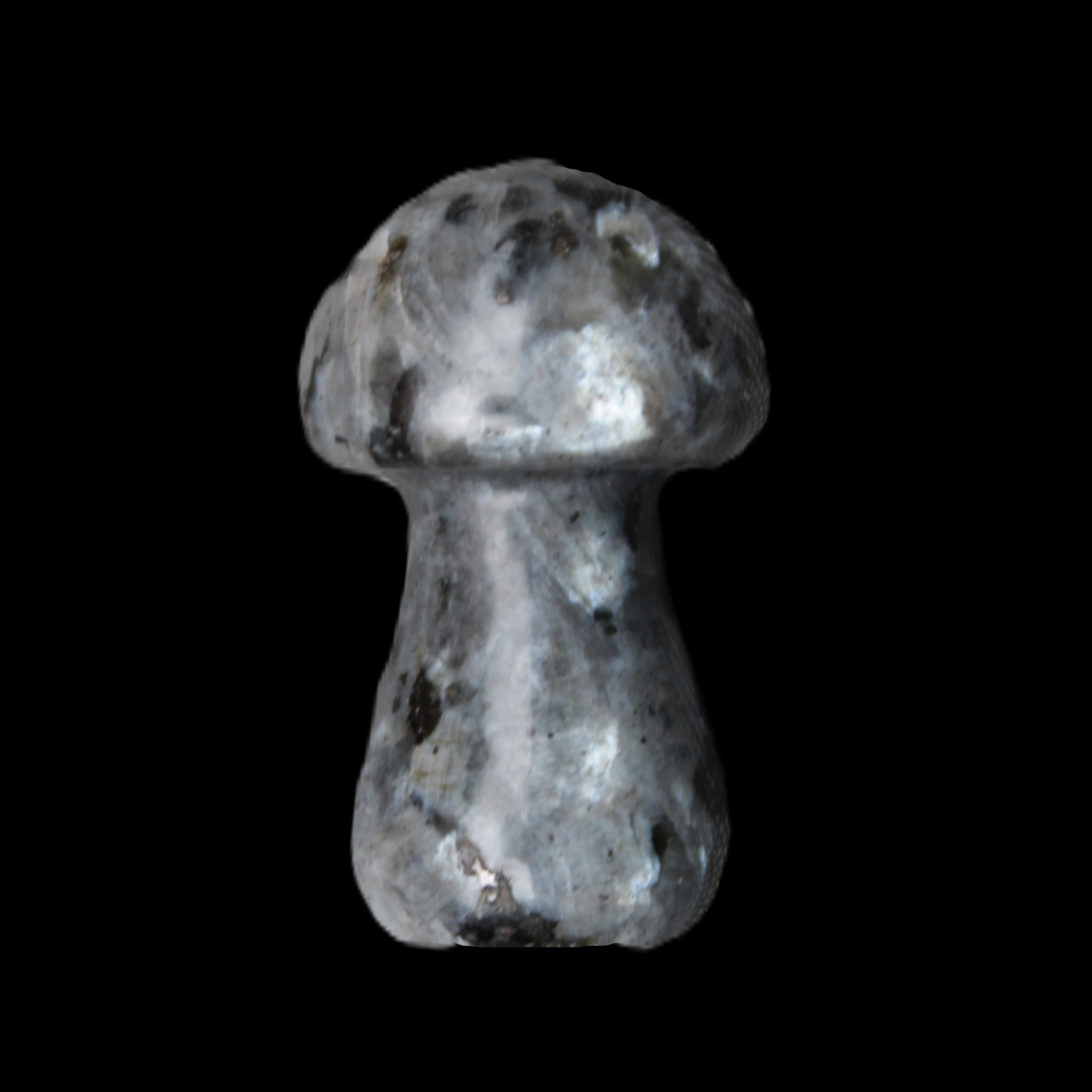 Larvikite mushroom 35*21*21mm 20g in sunlight - Rocks and Things Store