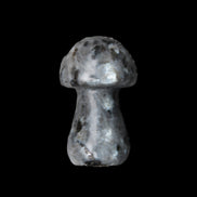 Larvikite mushroom 35*21*21mm 20g in sunlight - Rocks and Things Store