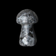 Larvikite mushroom 35*21*21mm 20g in sunlight - Rocks and Things Store