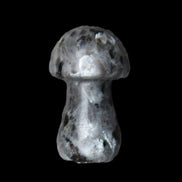 Larvikite mushroom 35*21*21mm 20g in sunlight - Rocks and Things Store