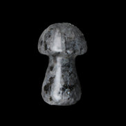 Larvikite mushroom 35*21*21mm 20g in sunlight - Rocks and Things Store