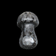 Larvikite mushroom 35*21*21mm 20g in sunlight - Rocks and Things Store