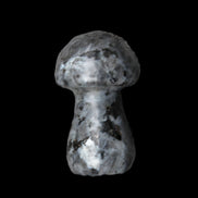 Larvikite mushroom 35*21*21mm 20g in sunlight - Rocks and Things Store