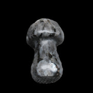Larvikite mushroom 35*21*21mm 20g in sunlight - Rocks and Things Store