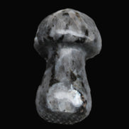 Larvikite mushroom 35*21*21mm 20g in sunlight - Rocks and Things Store