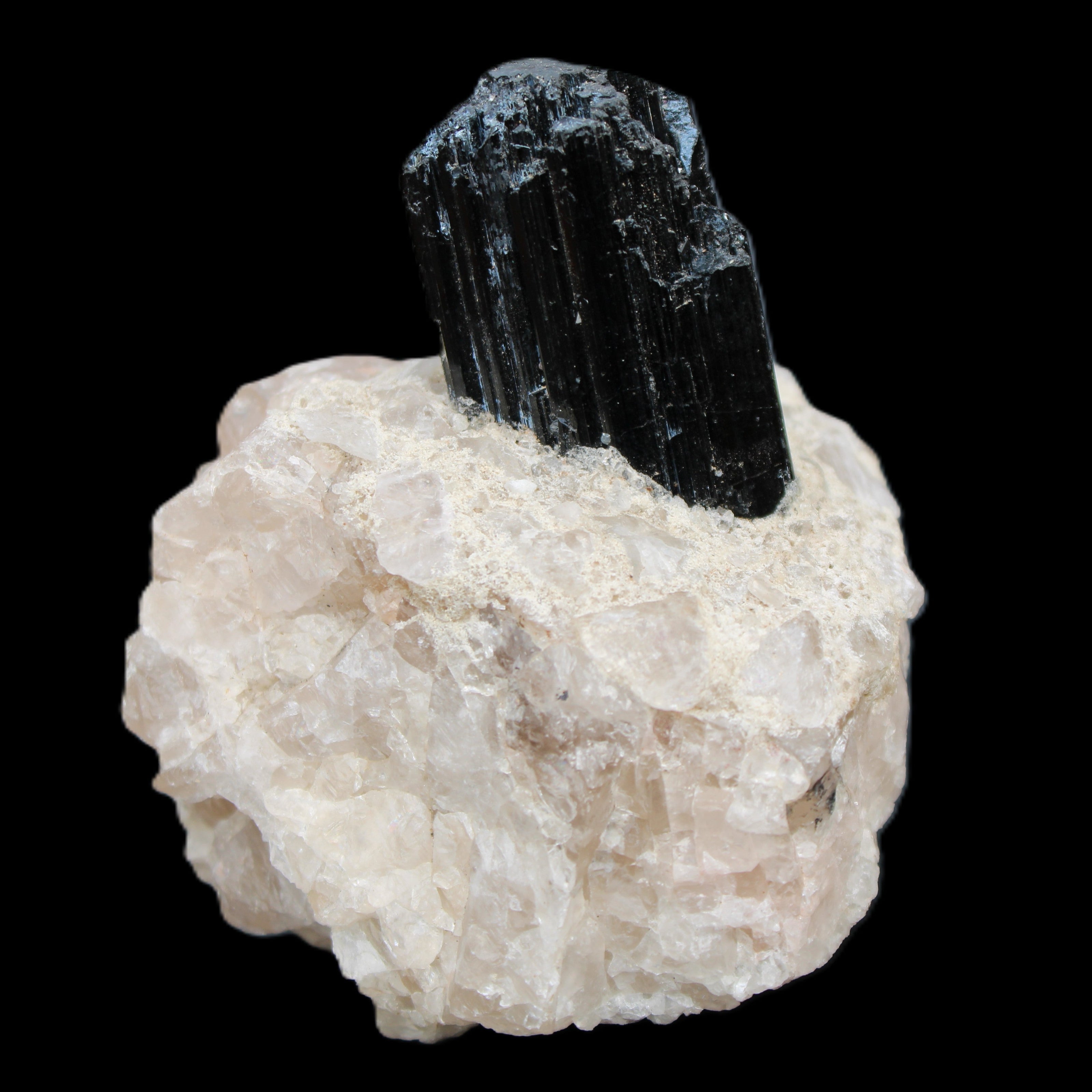 Natural Black Tourmaline crystal in Quartzite 74*68*84mm 442g Rocks and Things Store