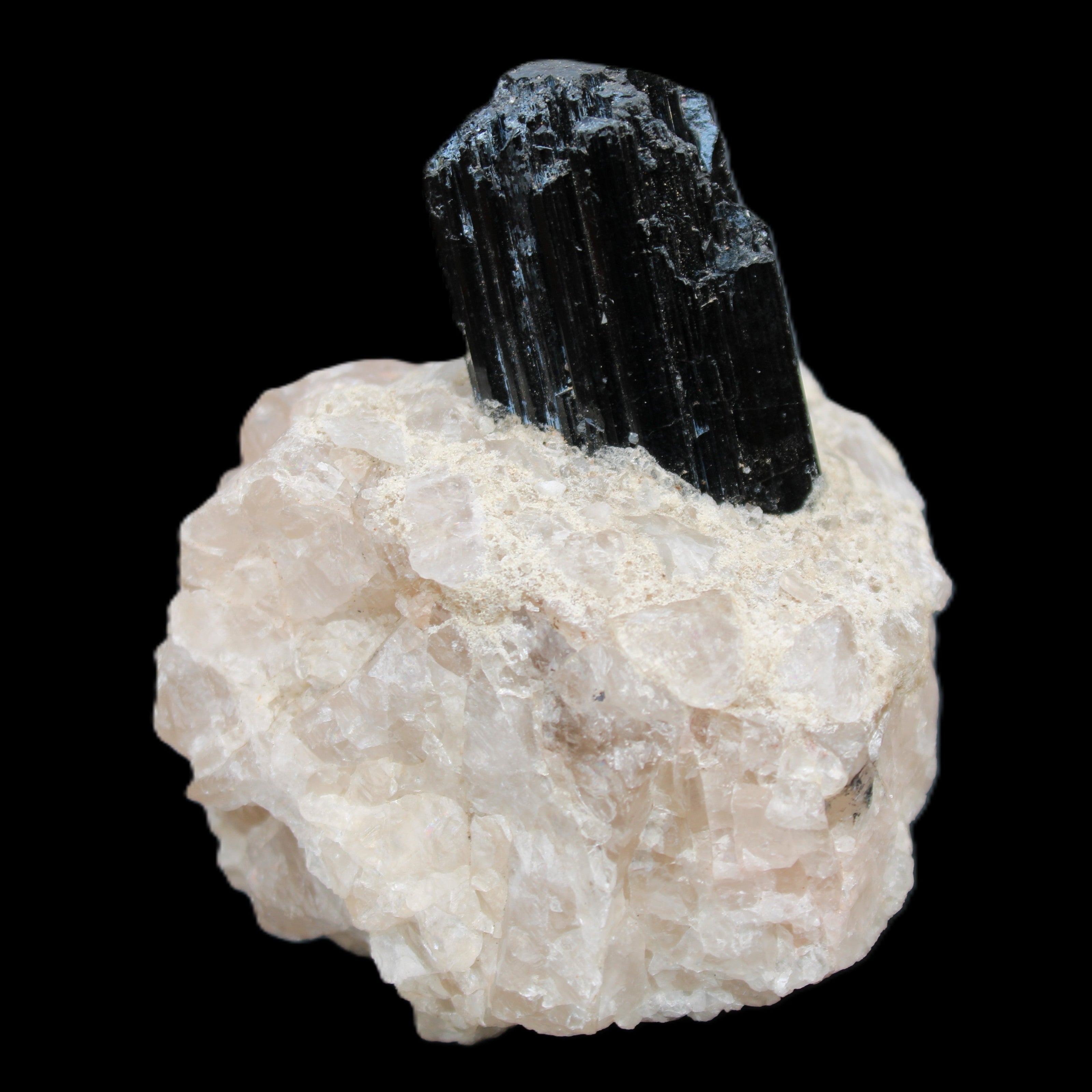 Natural Black Tourmaline crystal in Quartzite 74*68*84mm 442g Rocks and Things Store