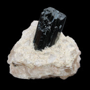 Natural Black Tourmaline crystal in Quartzite 74*68*84mm 442g Rocks and Things Store