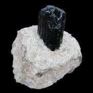 Natural Black Tourmaline crystal in Quartzite 74*68*84mm 442g Rocks and Things Store
