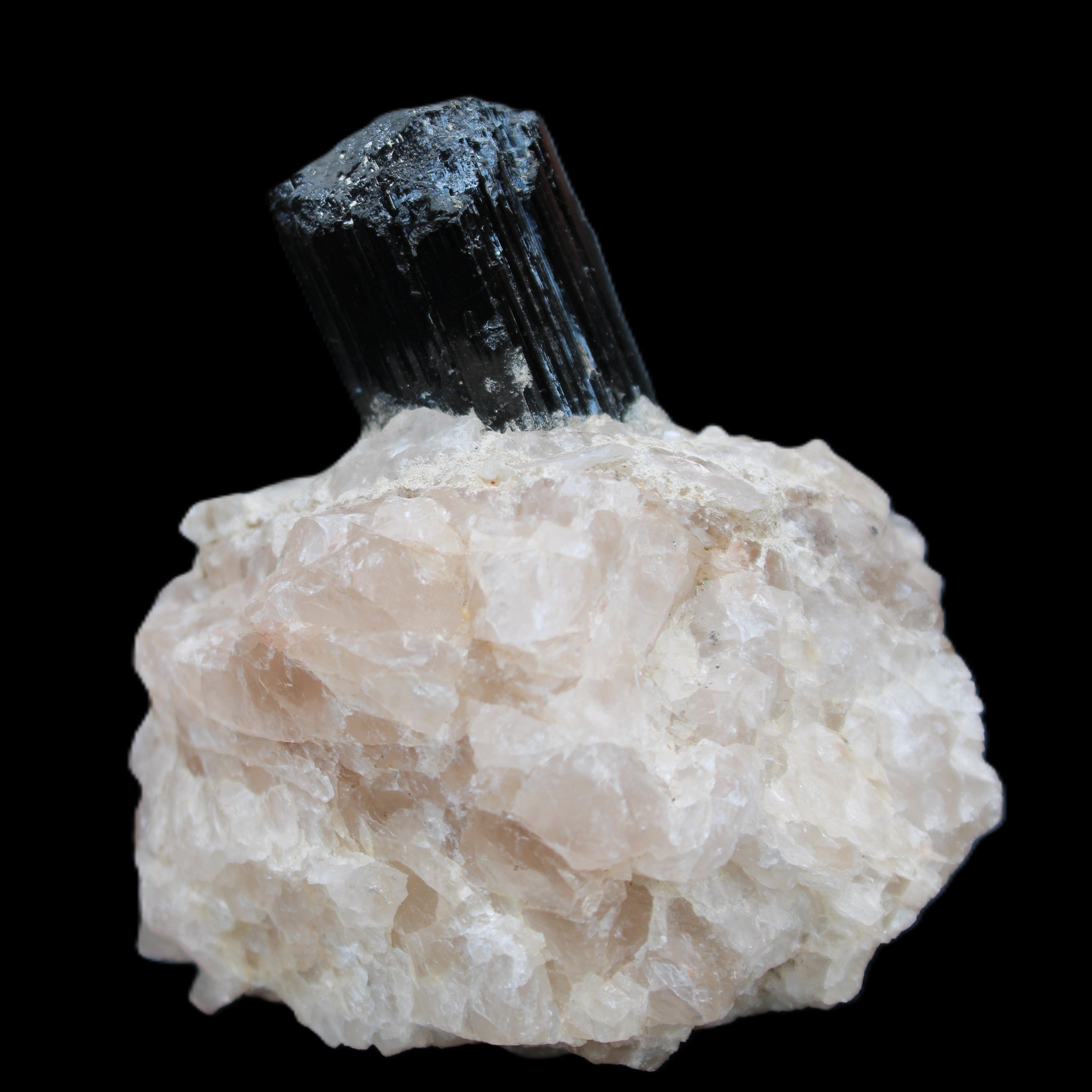 Natural Black Tourmaline crystal in Quartzite 74*68*84mm 442g Rocks and Things Store