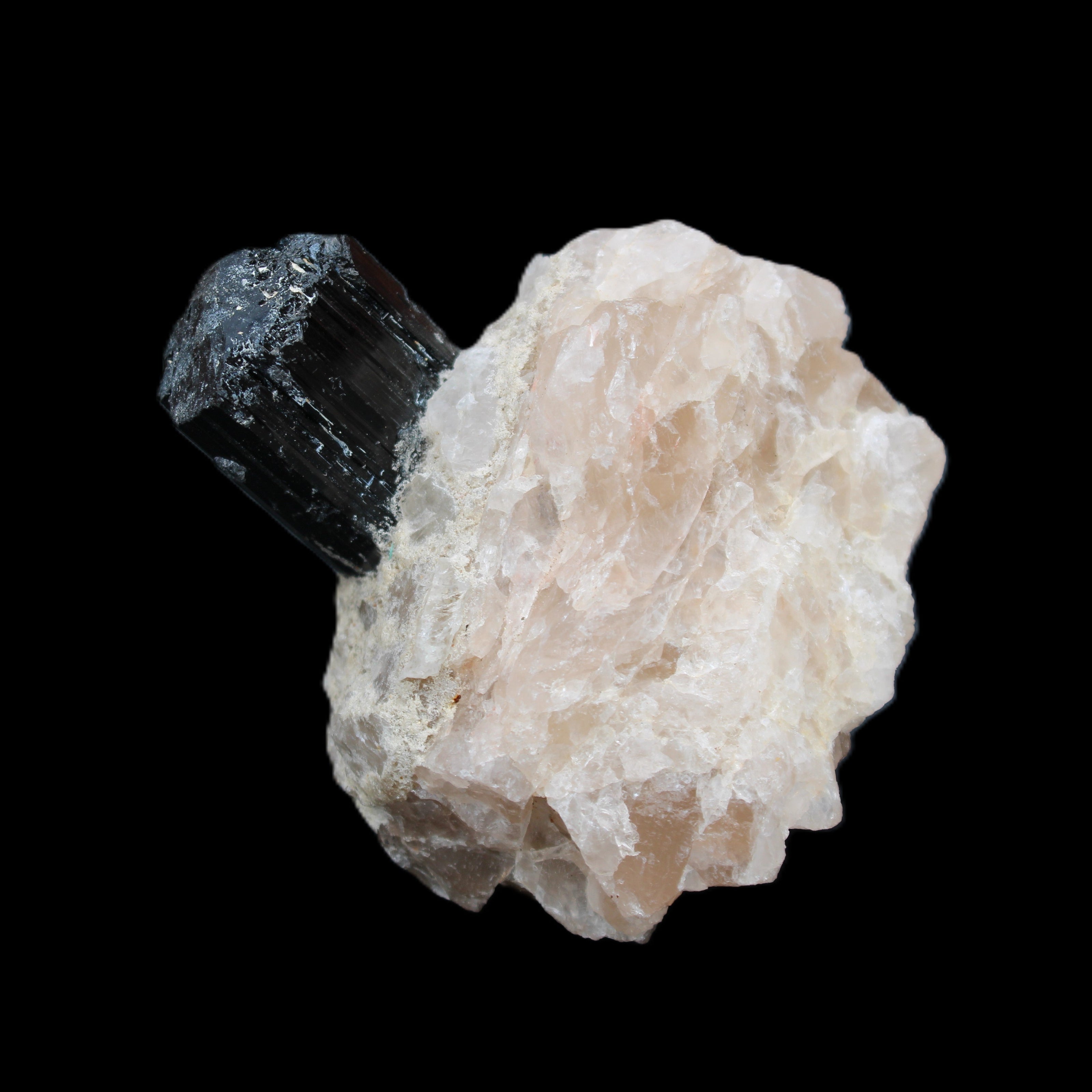 Natural Black Tourmaline crystal in Quartzite 74*68*84mm 442g Rocks and Things Store