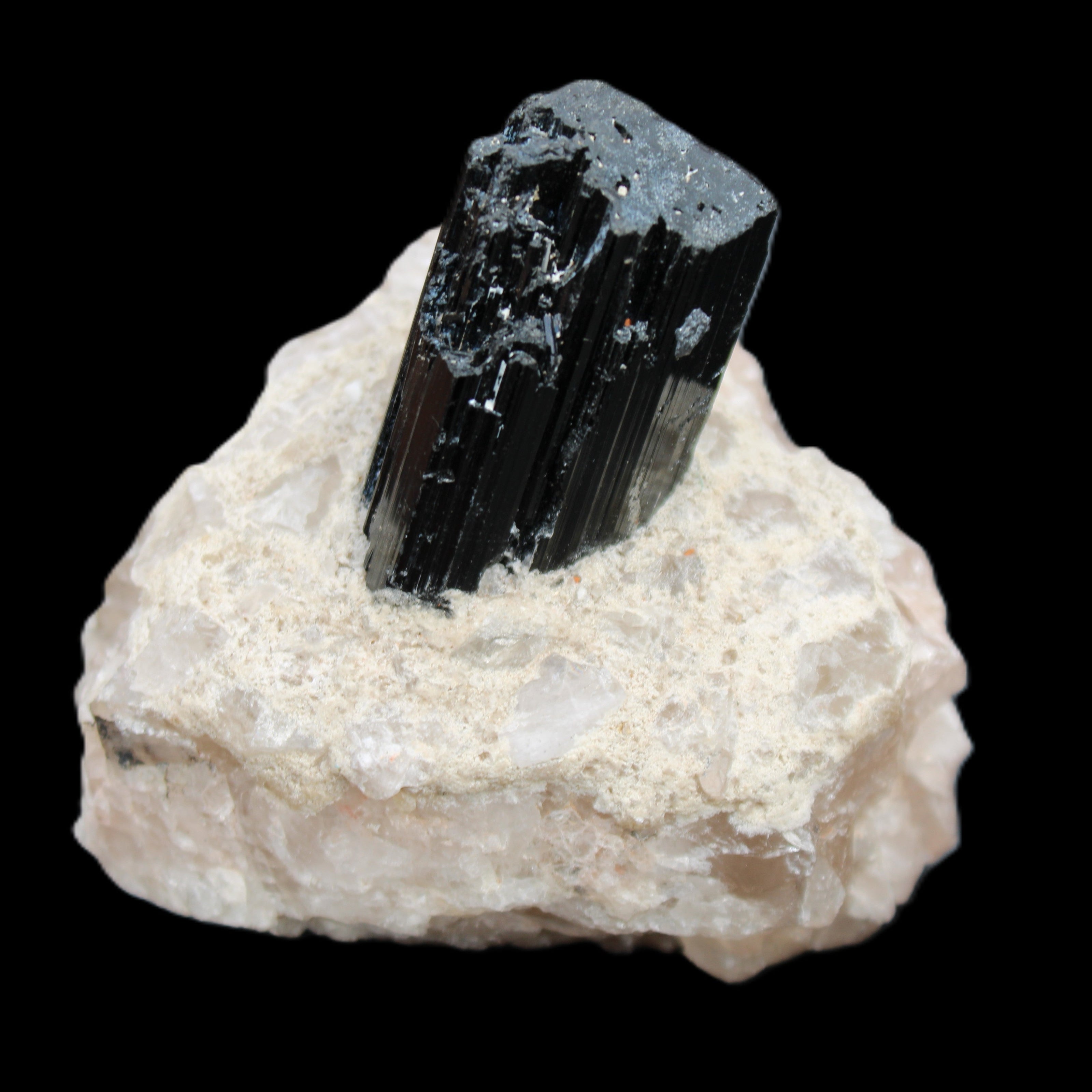 Natural Black Tourmaline crystal in Quartzite 74*68*84mm 442g Rocks and Things Store