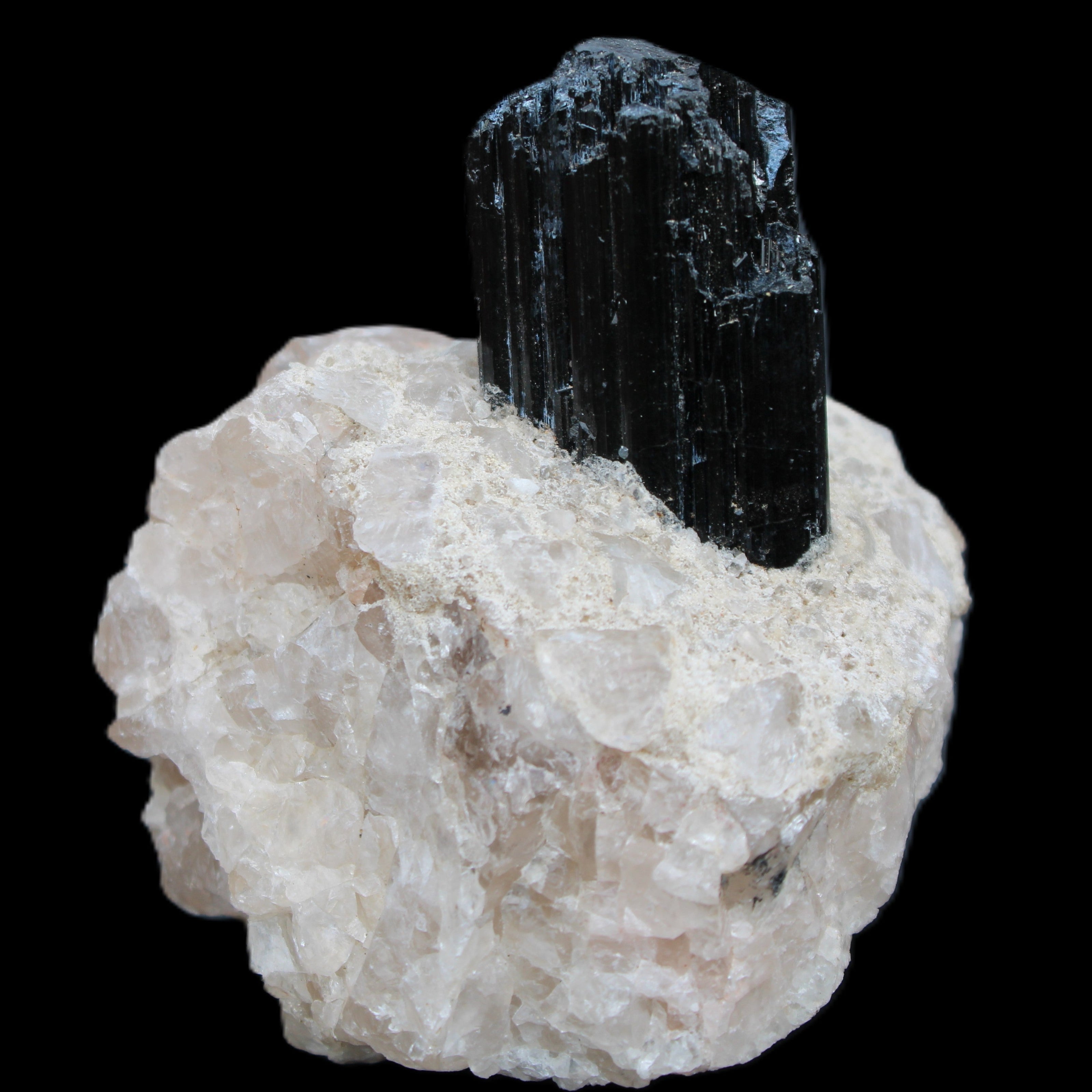 Natural Black Tourmaline crystal in Quartzite 74*68*84mm 442g Rocks and Things Store