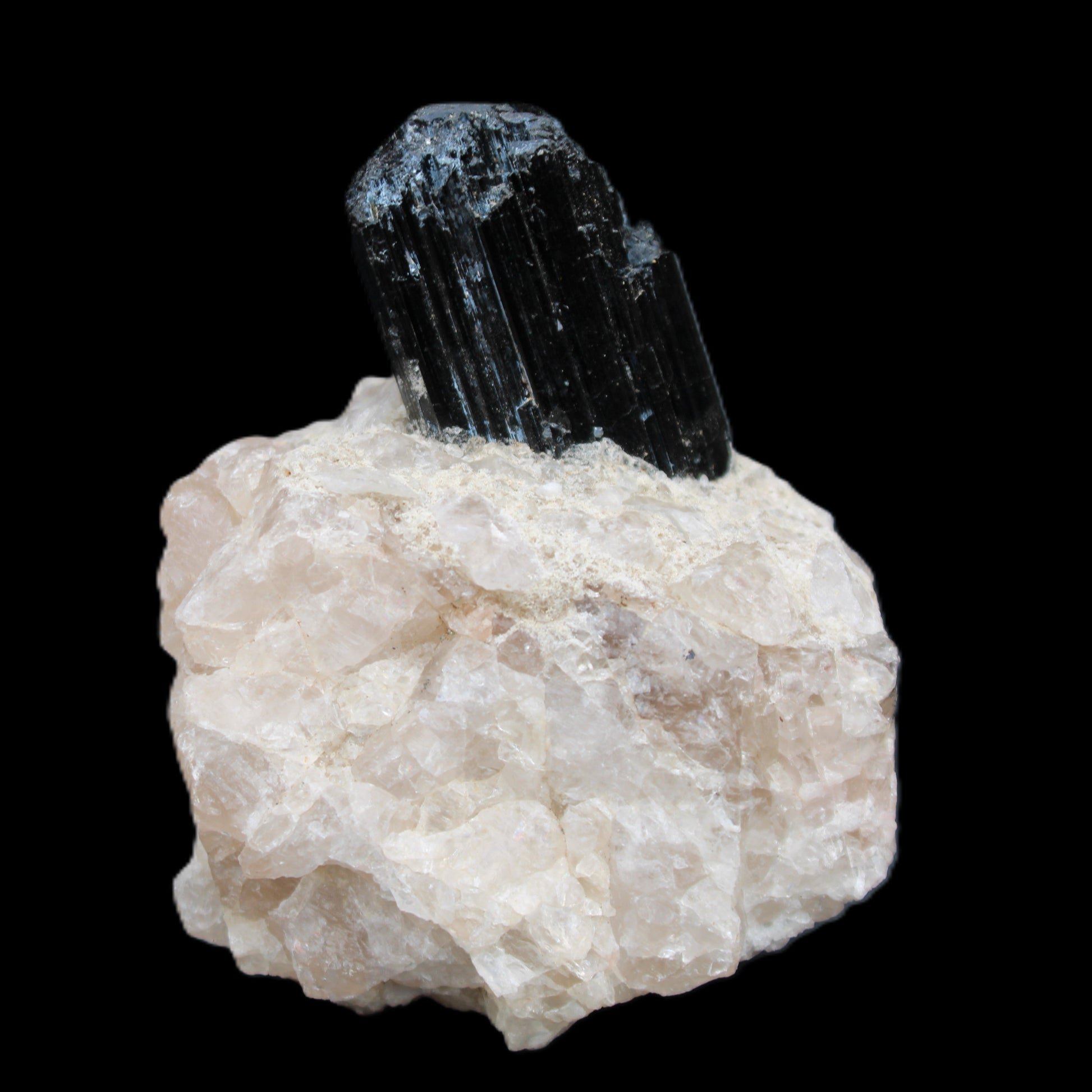 Natural Black Tourmaline crystal in Quartzite 74*68*84mm 442g Rocks and Things Store