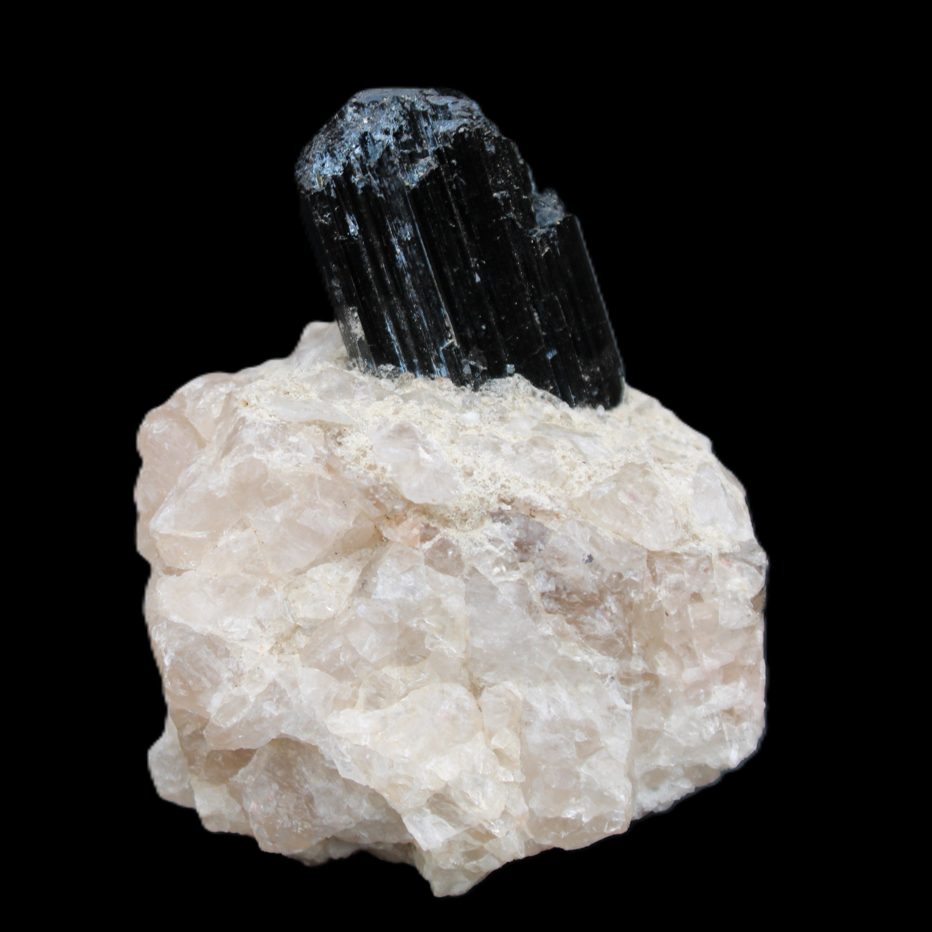 Natural Black Tourmaline crystal in Quartzite 74*68*84mm 442g Rocks and Things Store