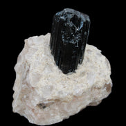 Natural Black Tourmaline crystal in Quartzite 74*68*84mm 442g Rocks and Things Store