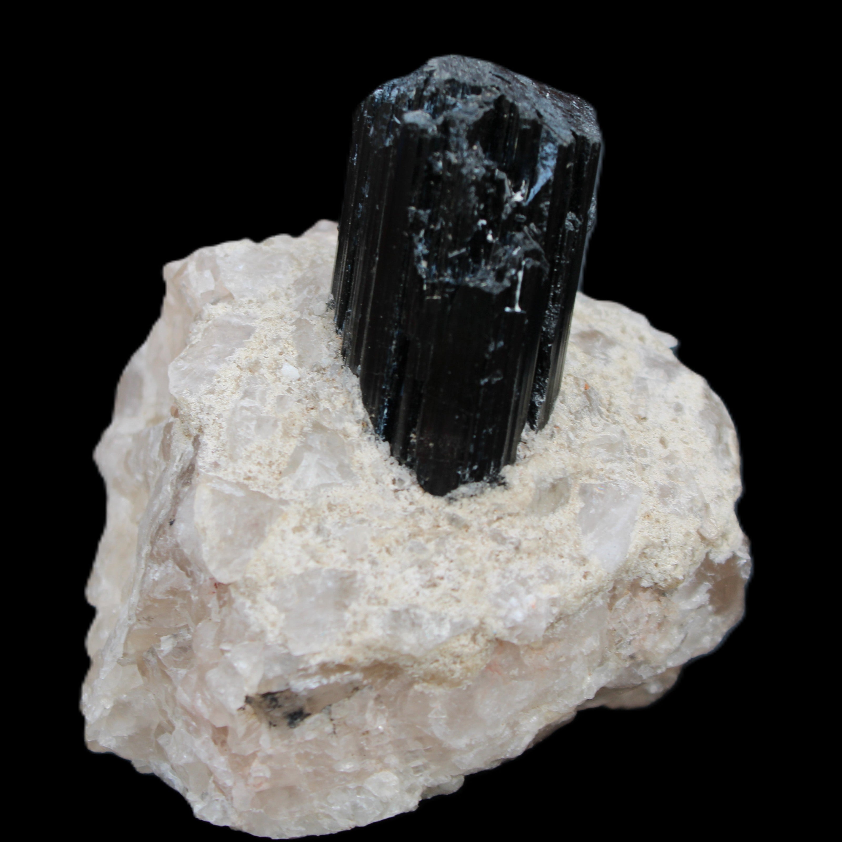 Natural Black Tourmaline crystal in Quartzite 74*68*84mm 442g Rocks and Things Store