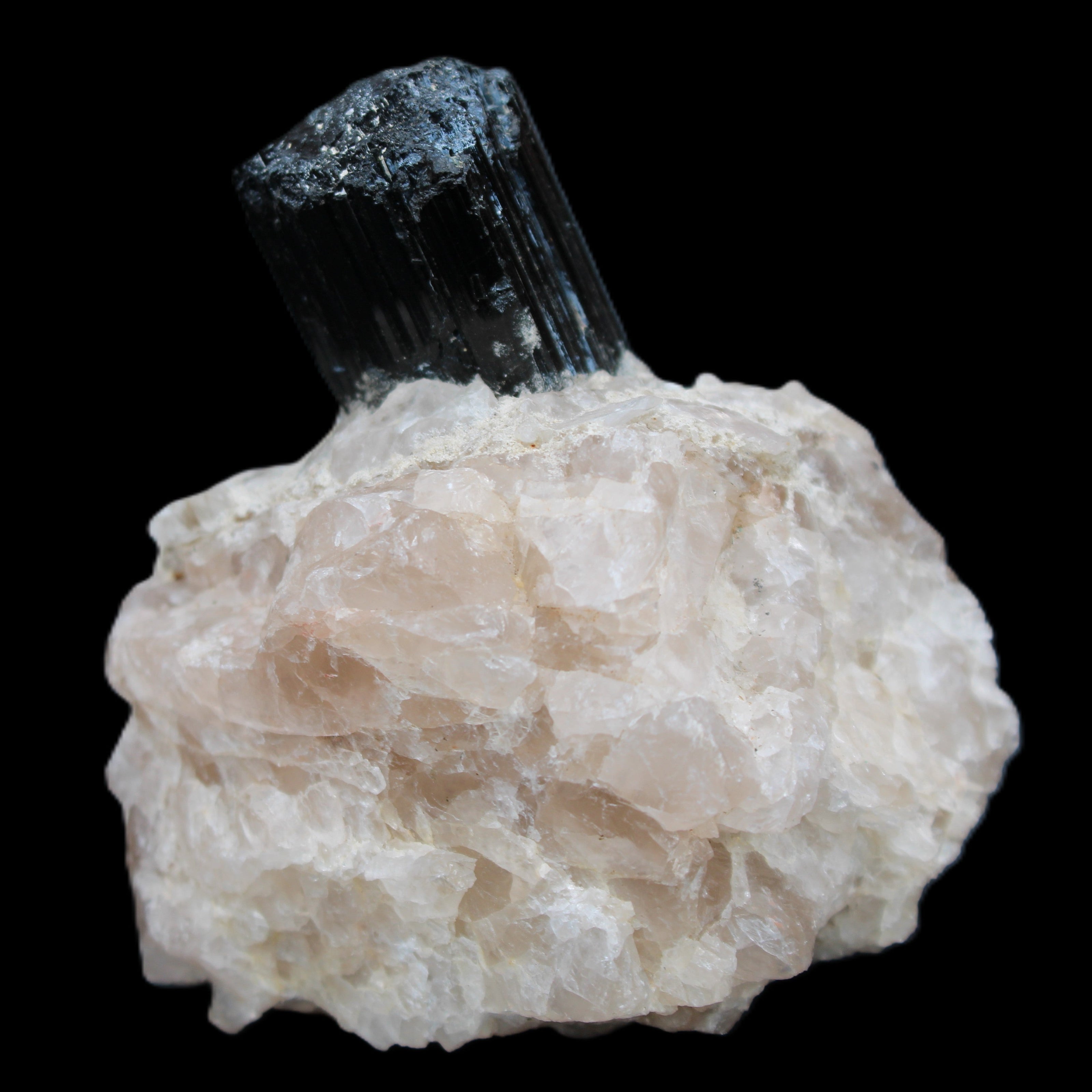 Natural Black Tourmaline crystal in Quartzite 74*68*84mm 442g Rocks and Things Store