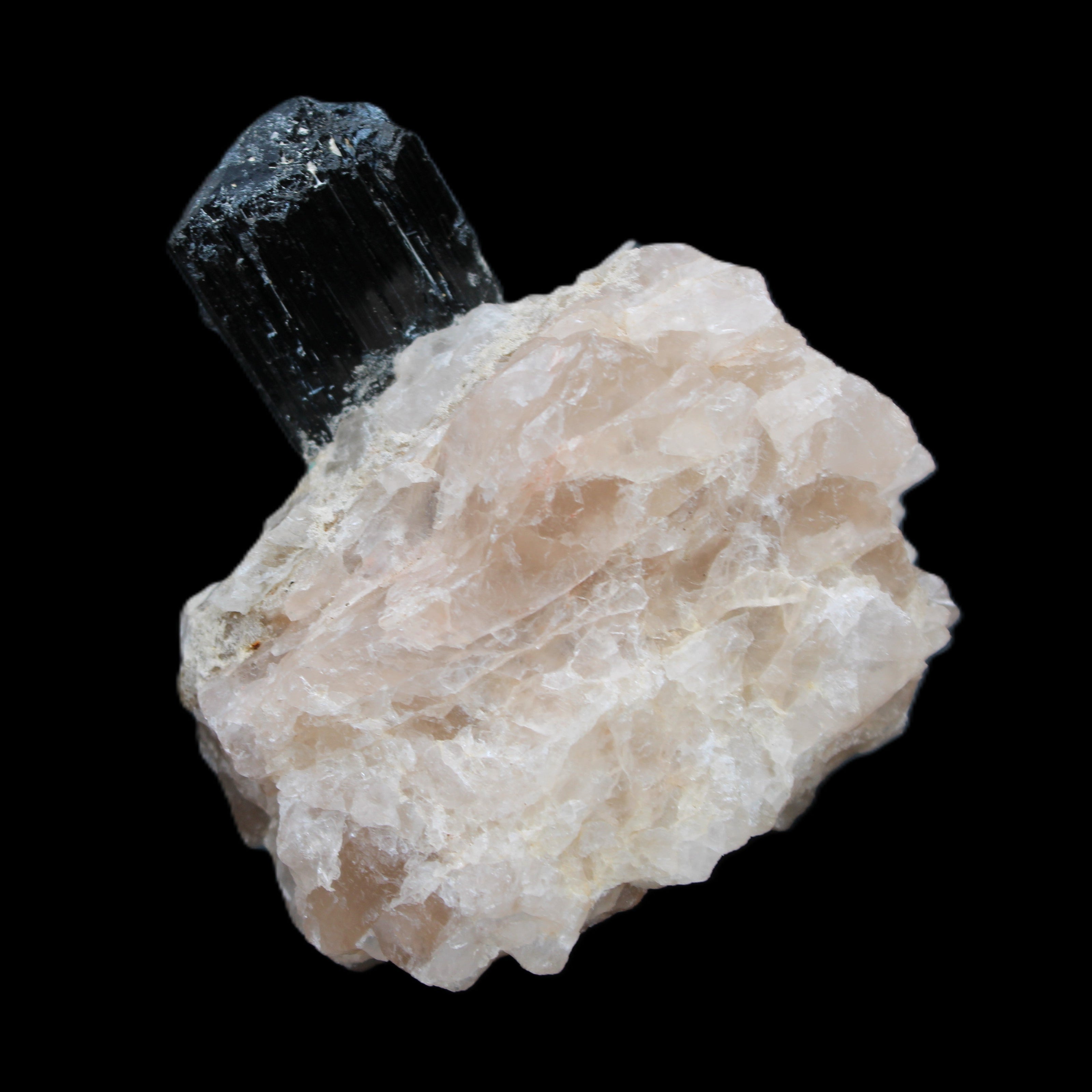 Natural Black Tourmaline crystal in Quartzite 74*68*84mm 442g Rocks and Things Store