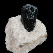 Natural Black Tourmaline crystal in Quartzite 74*68*84mm 442g Rocks and Things Store