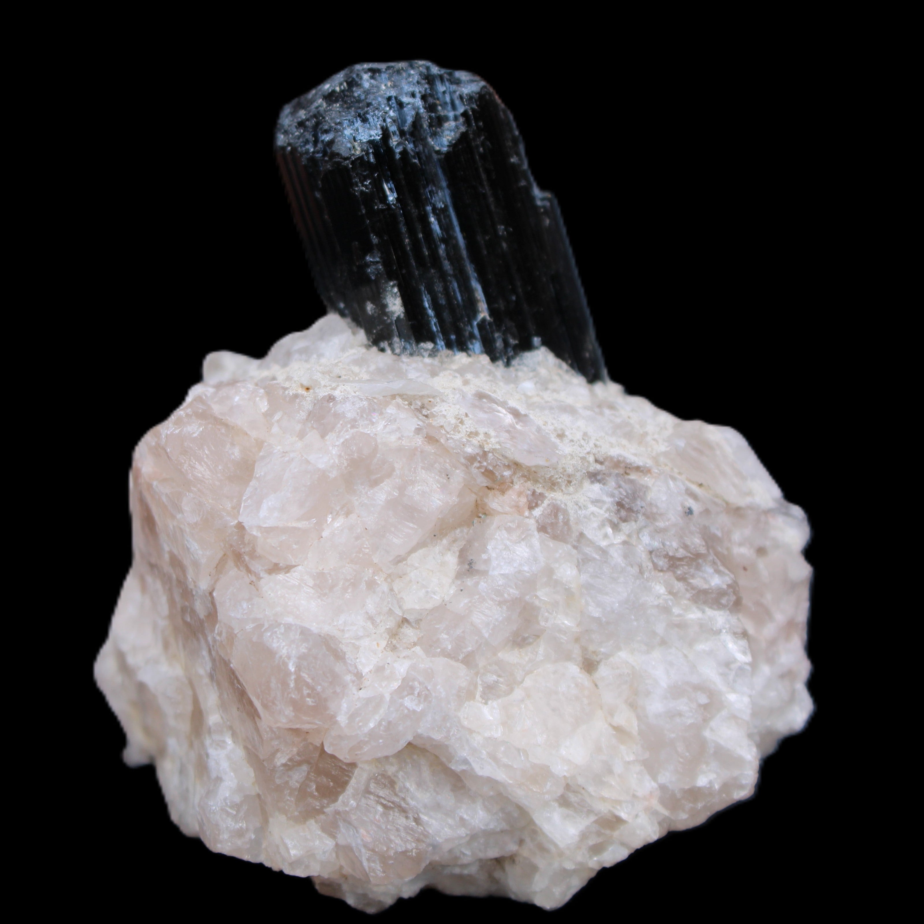 Natural Black Tourmaline crystal in Quartzite 74*68*84mm 442g Rocks and Things Store