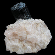 Natural Black Tourmaline crystal in Quartzite 74*68*84mm 442g Rocks and Things Store