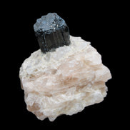 Natural Black Tourmaline crystal in Quartzite 74*68*84mm 442g Rocks and Things Store