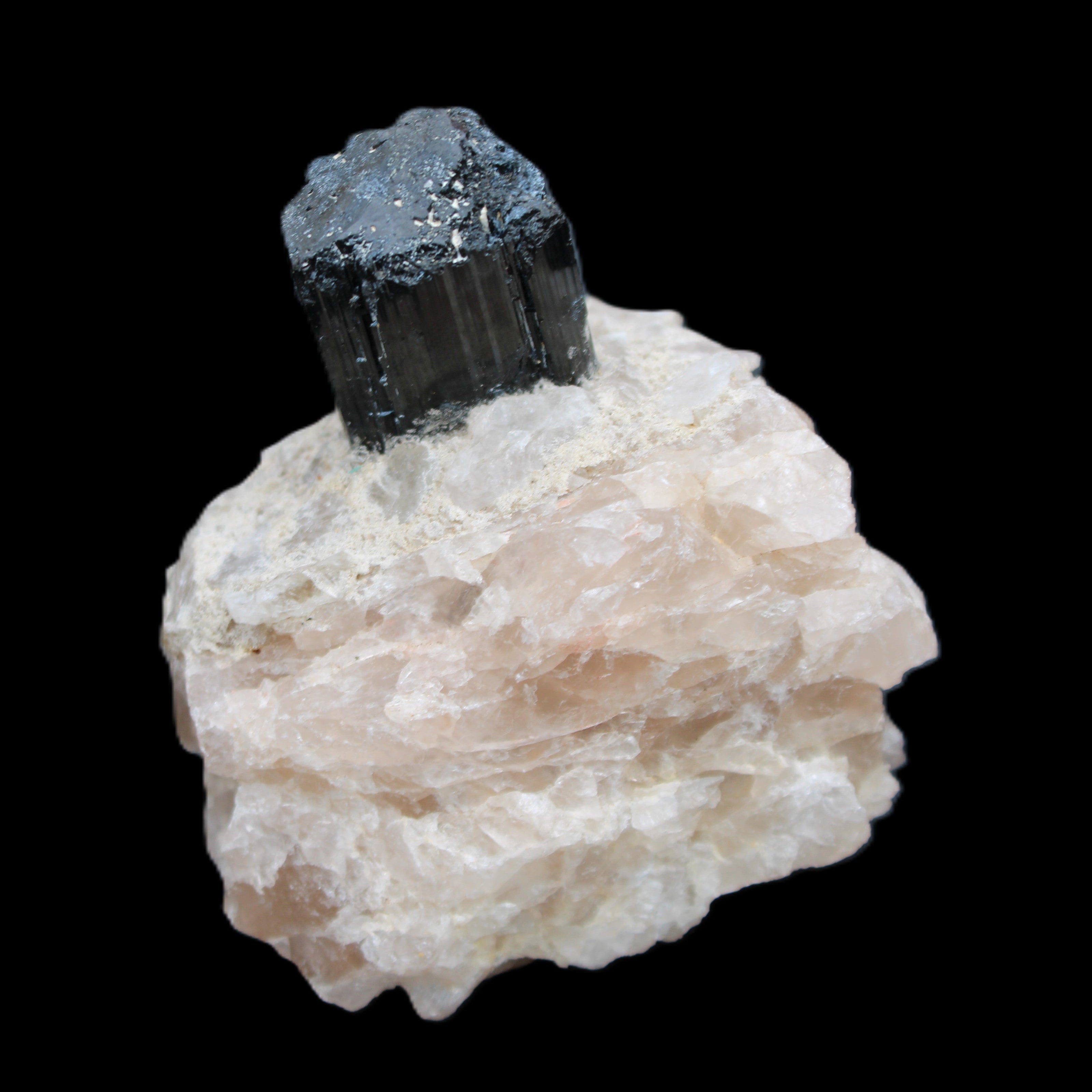 Natural Black Tourmaline crystal in Quartzite 74*68*84mm 442g Rocks and Things Store