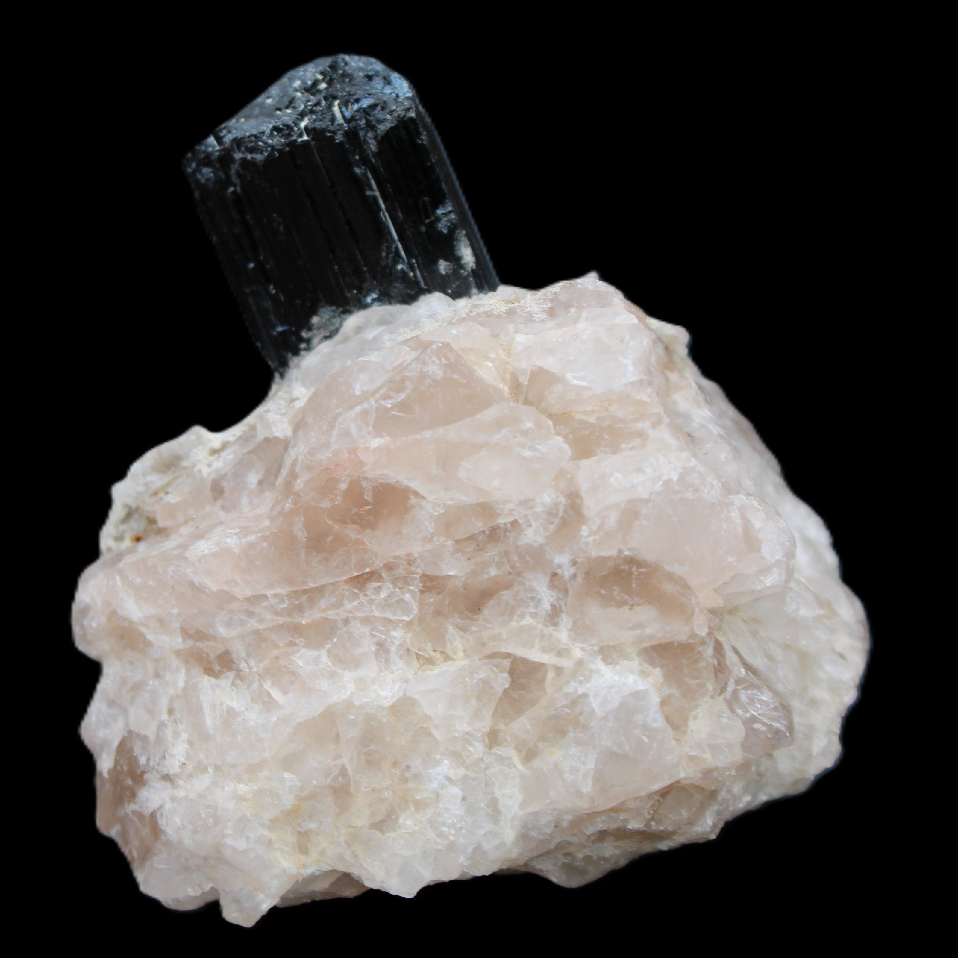 Natural Black Tourmaline crystal in Quartzite 74*68*84mm 442g Rocks and Things Store