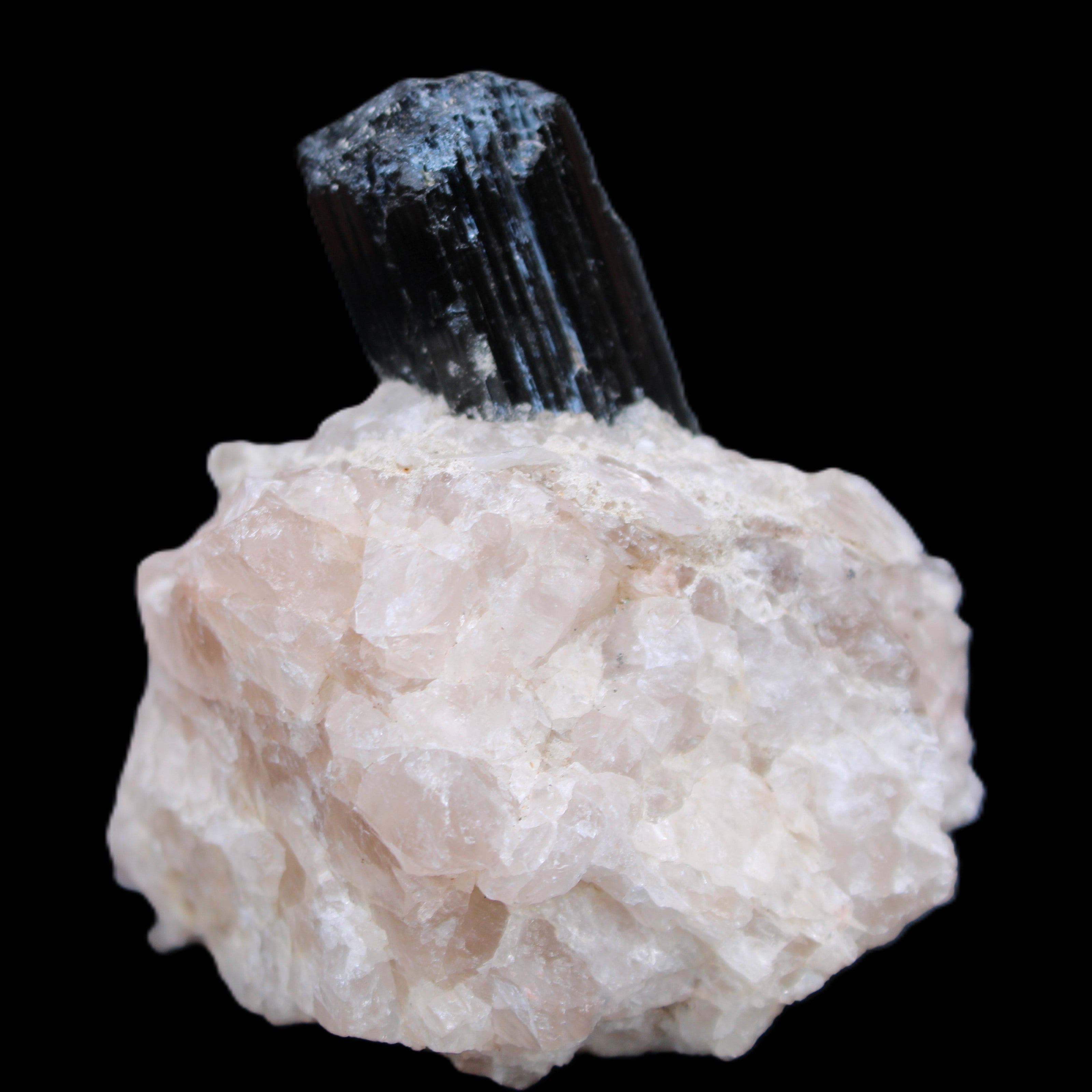 Natural Black Tourmaline crystal in Quartzite 74*68*84mm 442g Rocks and Things Store