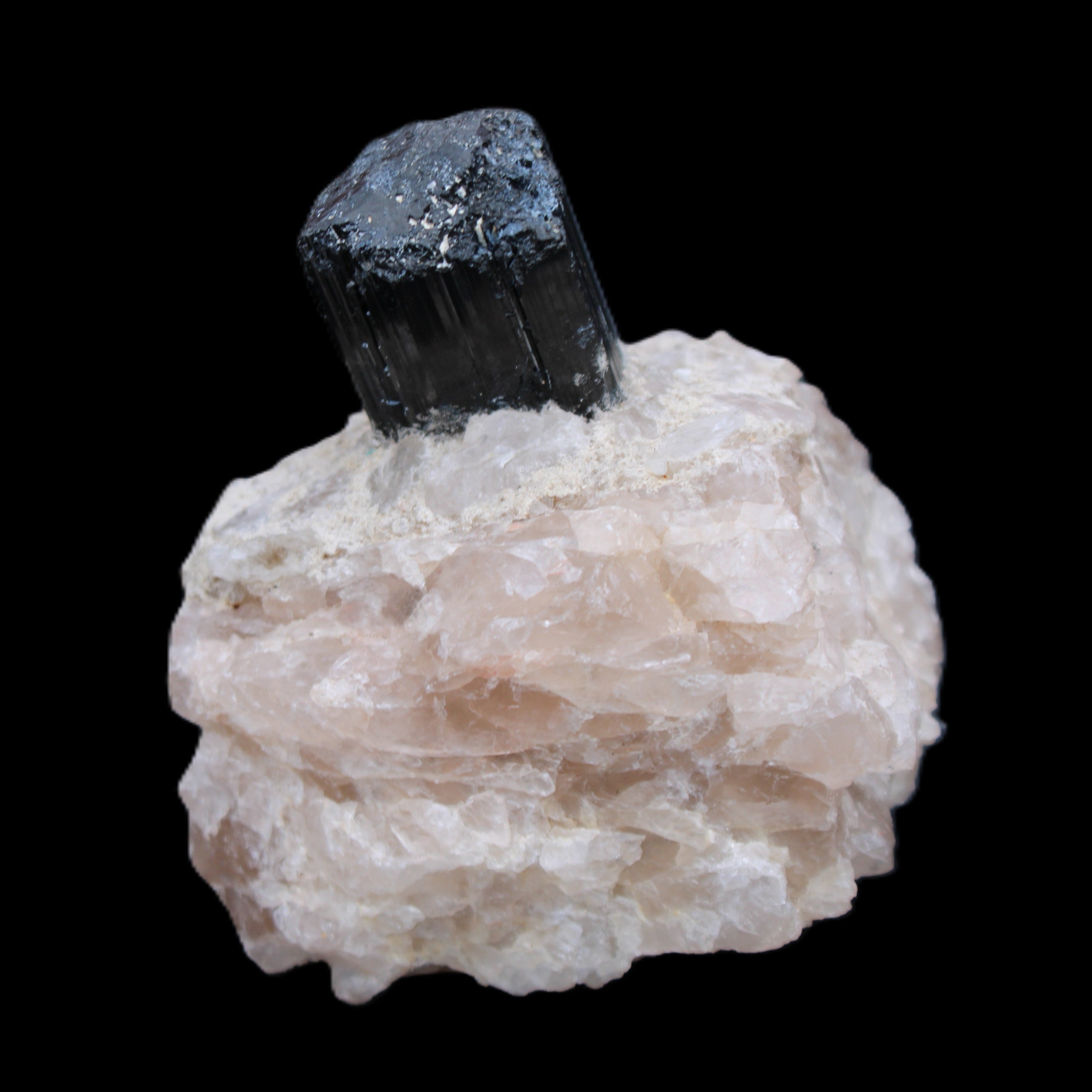 Natural Black Tourmaline crystal in Quartzite 74*68*84mm 442g Rocks and Things Store