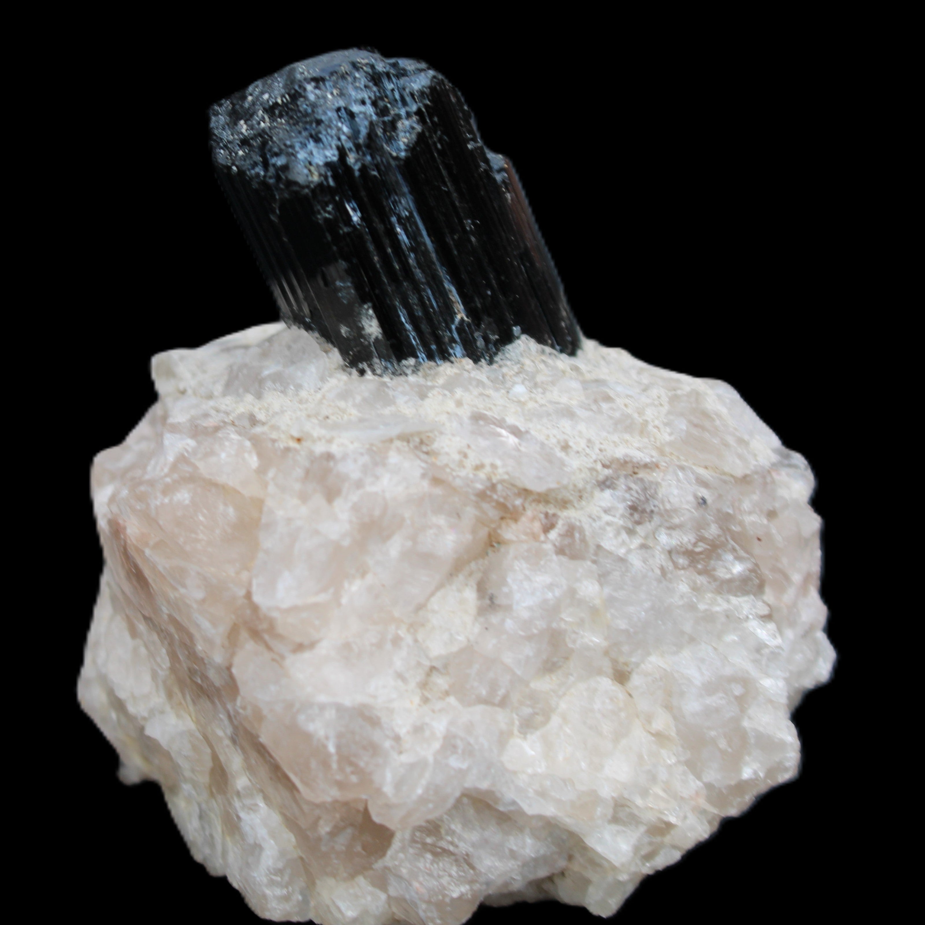 Natural Black Tourmaline crystal in Quartzite 74*68*84mm 442g Rocks and Things Store