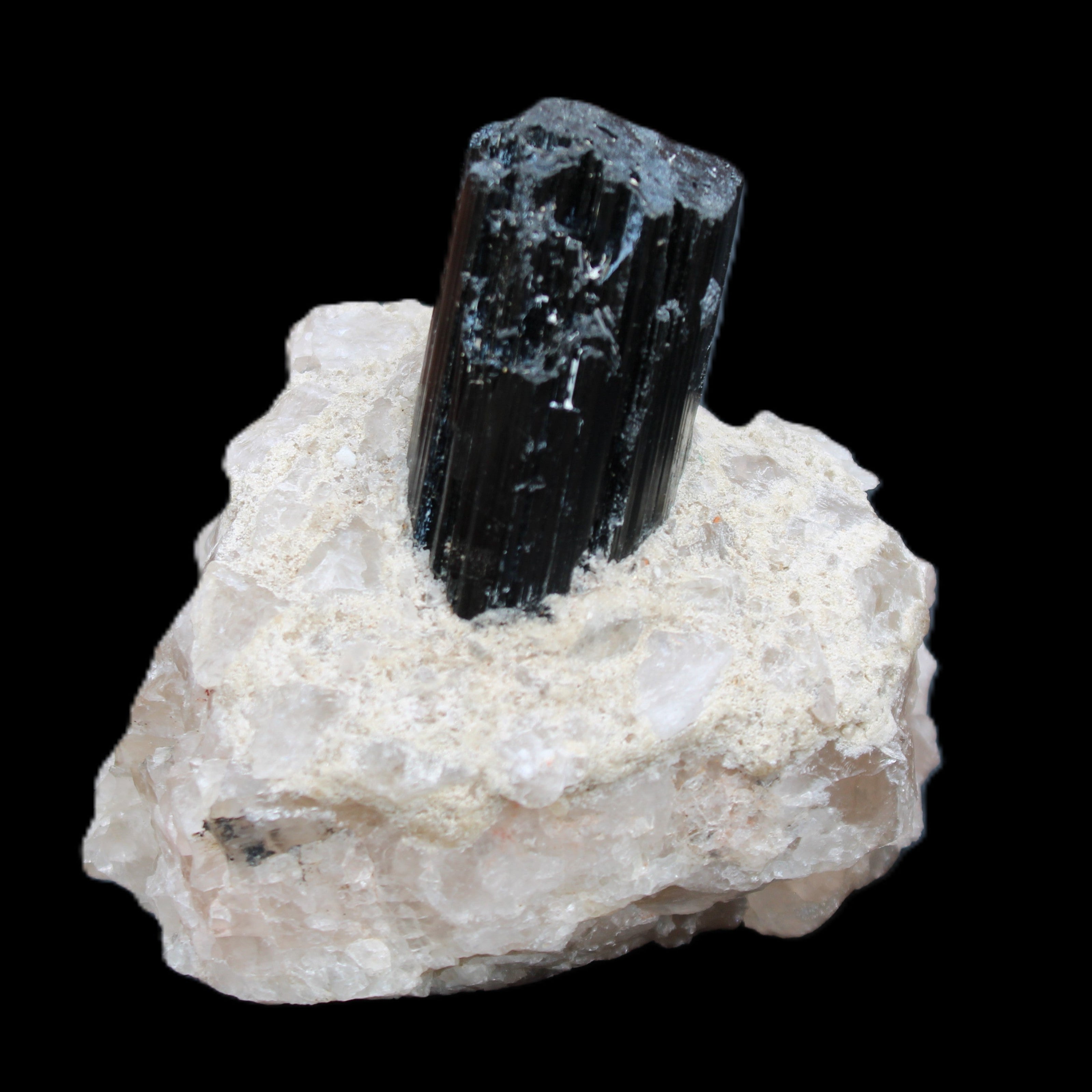 Natural Black Tourmaline crystal in Quartzite 74*68*84mm 442g Rocks and Things Store
