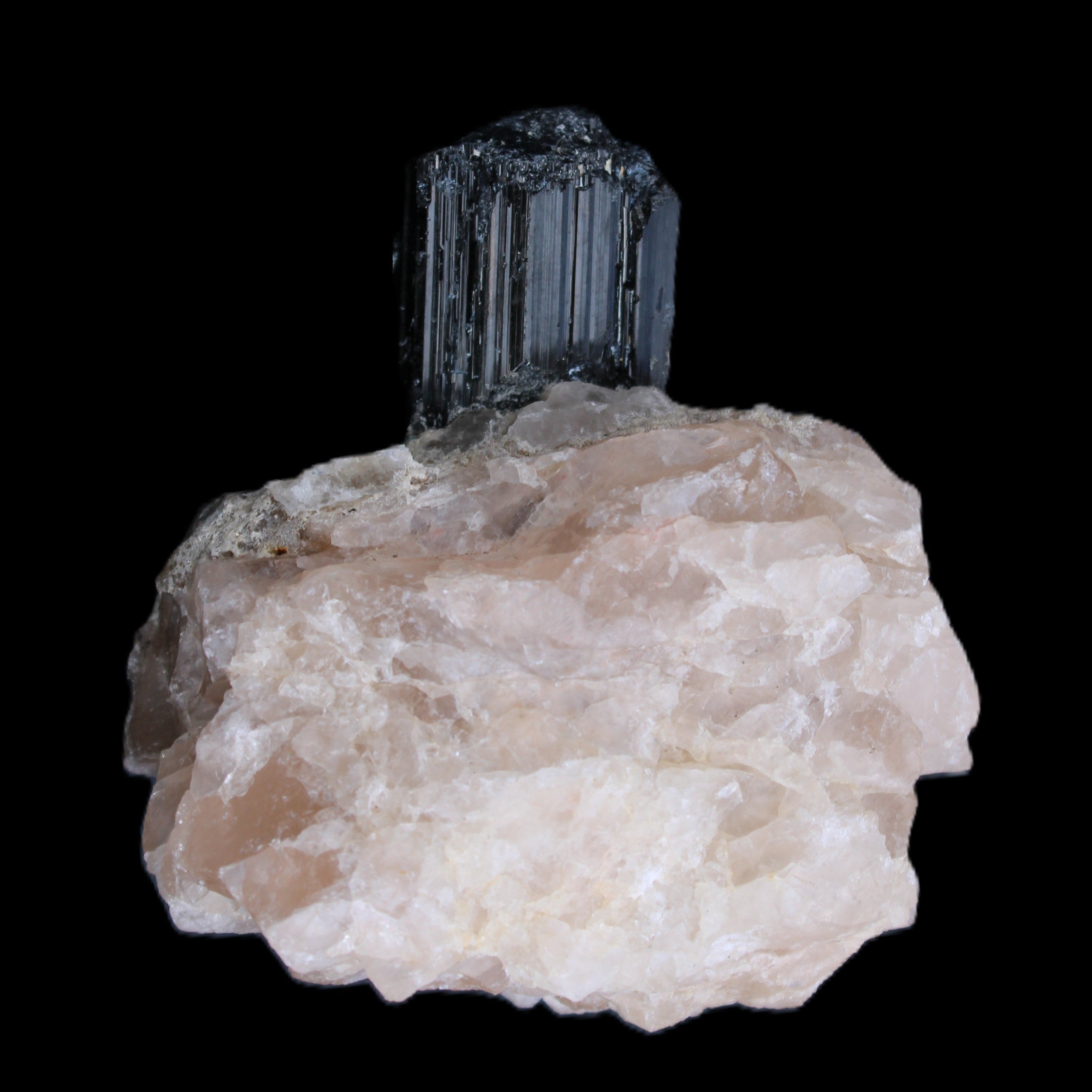 Natural Black Tourmaline crystal in Quartzite 74*68*84mm 442g Rocks and Things Store