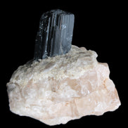 Natural Black Tourmaline crystal in Quartzite 74*68*84mm 442g Rocks and Things Store