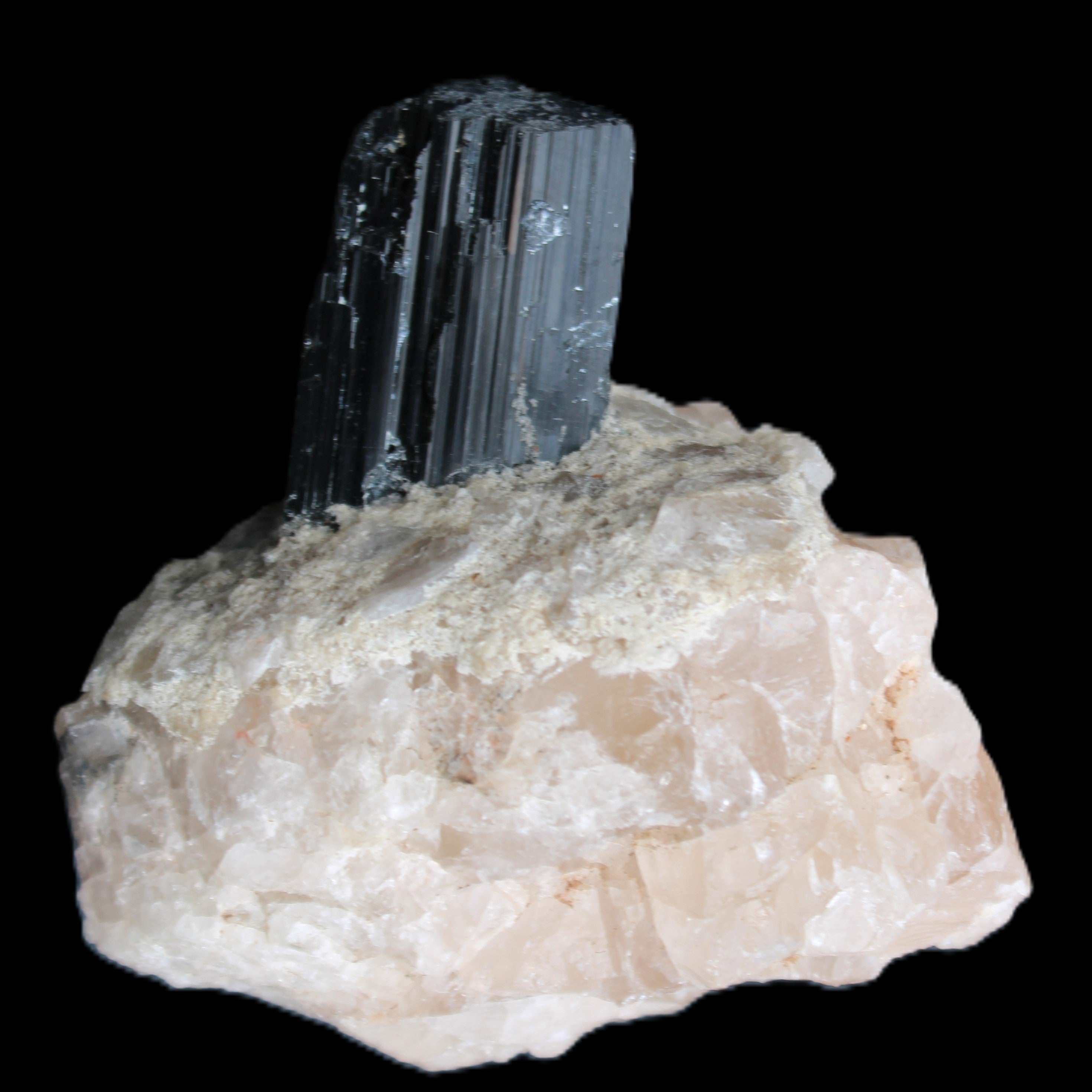 Natural Black Tourmaline crystal in Quartzite 74*68*84mm 442g Rocks and Things Store