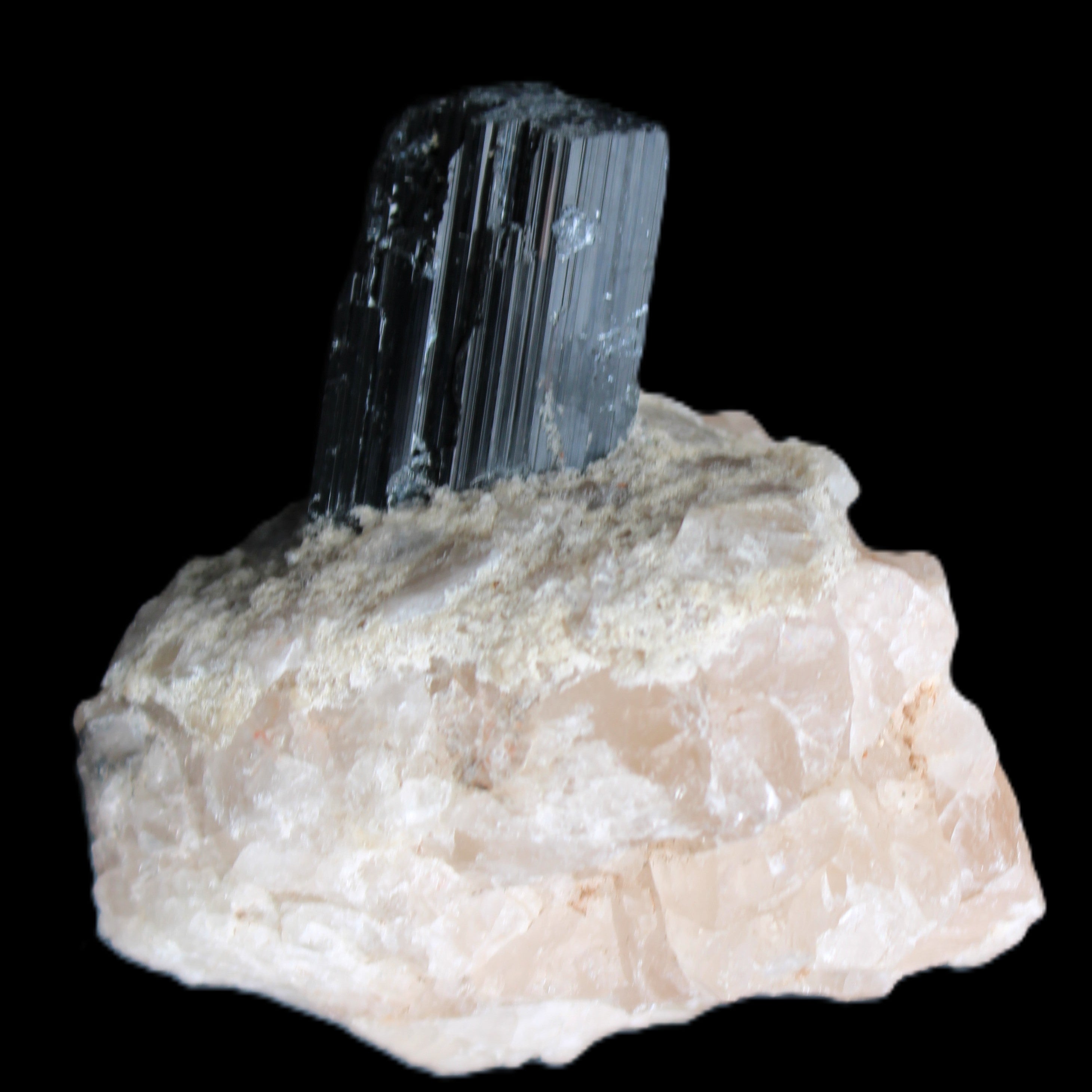 Natural Black Tourmaline crystal in Quartzite 74*68*84mm 442g Rocks and Things Store