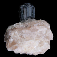 Natural Black Tourmaline crystal in Quartzite 74*68*84mm 442g Rocks and Things Store