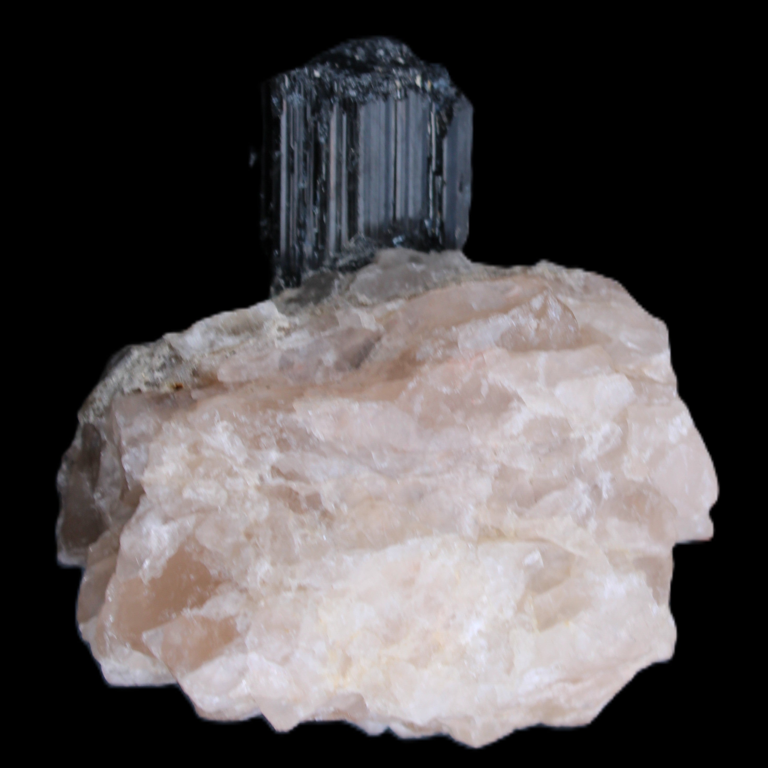 Natural Black Tourmaline crystal in Quartzite 74*68*84mm 442g Rocks and Things Store