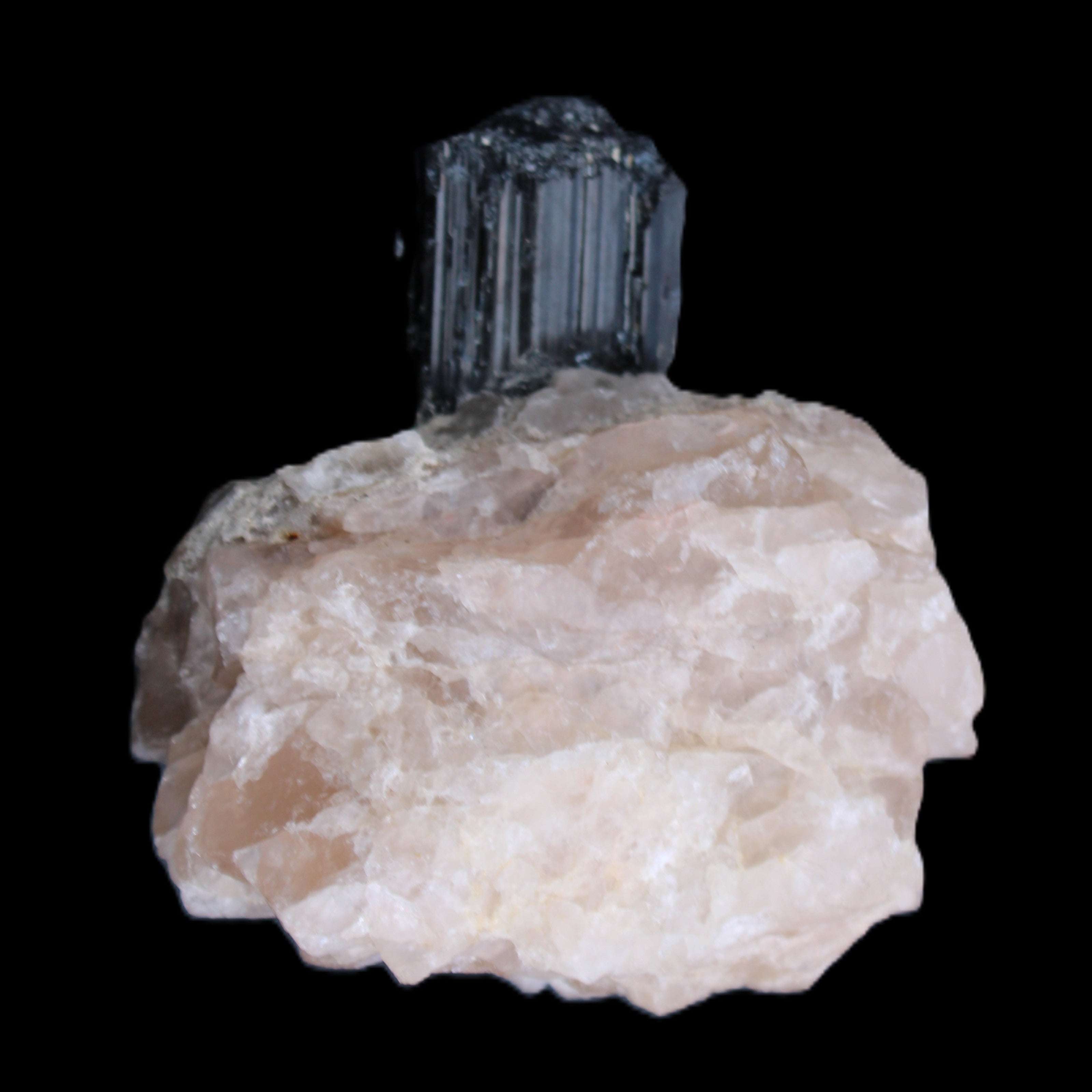 Natural Black Tourmaline crystal in Quartzite 74*68*84mm 442g Rocks and Things Store