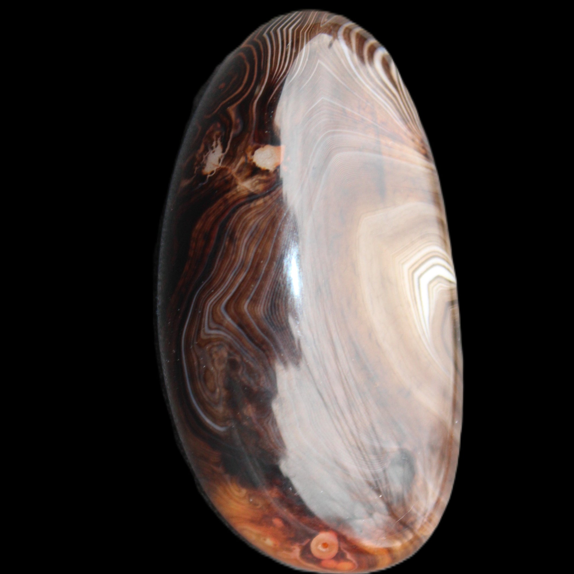Crazy Lace Agate 52*27*14mm 40g in sunlight - Rocks and Things Store