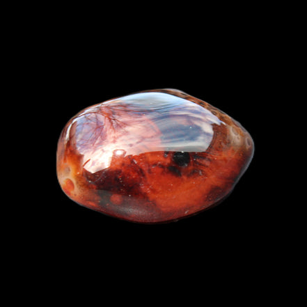 Crazy Lace Agate 52*27*14mm 40g in sunlight - Rocks and Things Store