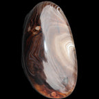 Crazy Lace Agate 52*27*14mm 40g in sunlight - Rocks and Things Store