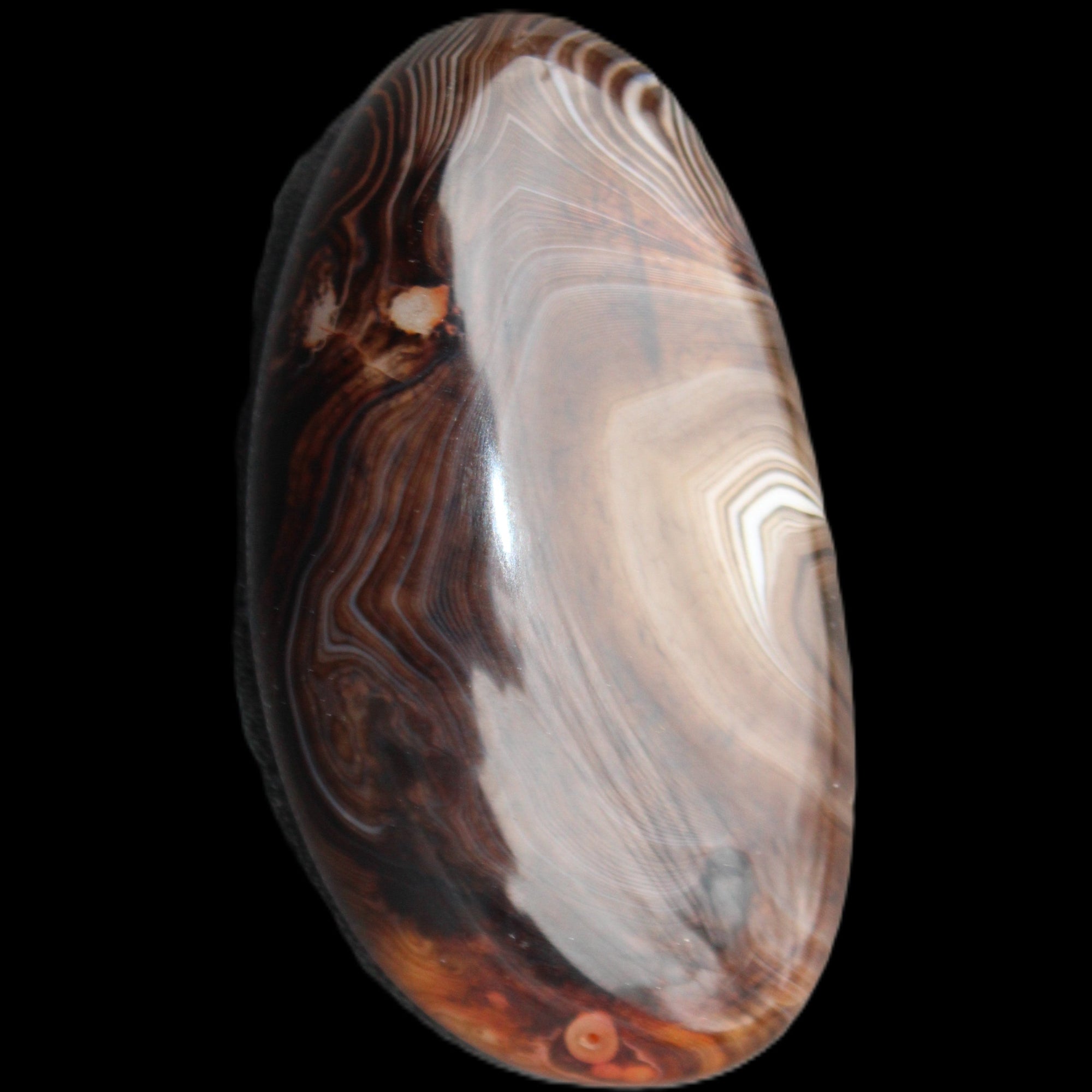 Crazy Lace Agate 52*27*14mm 40g in sunlight - Rocks and Things Store