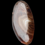 Crazy Lace Agate 52*27*14mm 40g in sunlight - Rocks and Things Store