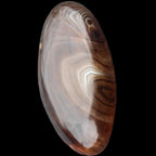 Crazy Lace Agate 52*27*14mm 40g in sunlight - Rocks and Things Store